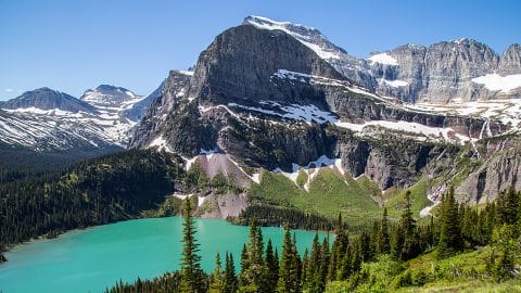 wingit montana graphic